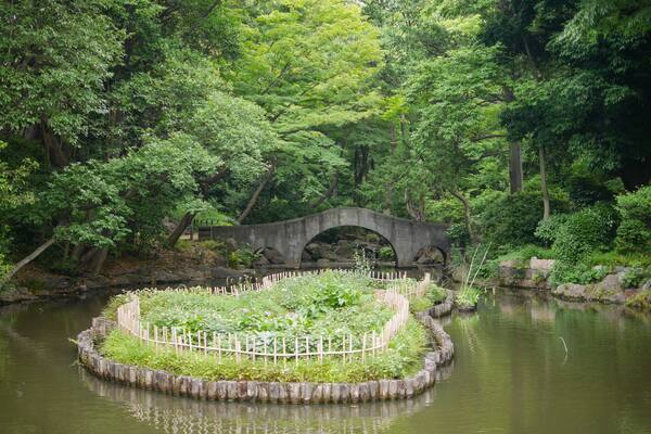 Small pond and stone bridge in Arisugawa-no-miya Memorial Park, Japan, Shutterstock ID 786495421, SF SSA Case with Manager Approval: Case 07151371, Job: Prepay credit, Client/Licensee: , Other: