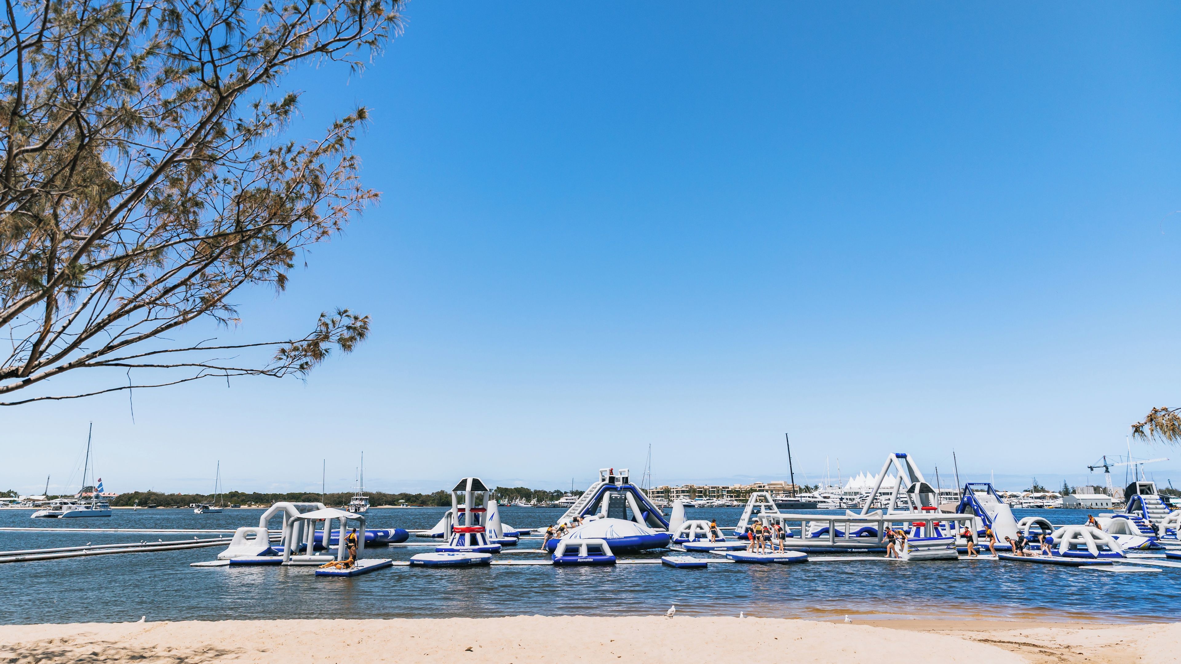 A marina with various boats docked, a sandy beach, and a clear blue sky.