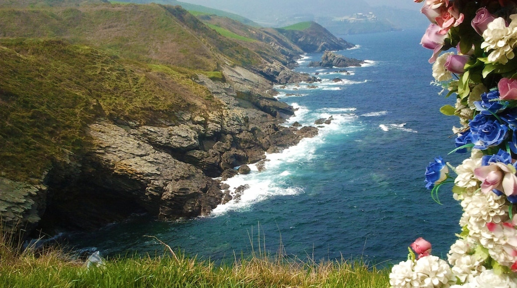 Costa Vasca - El Covaron