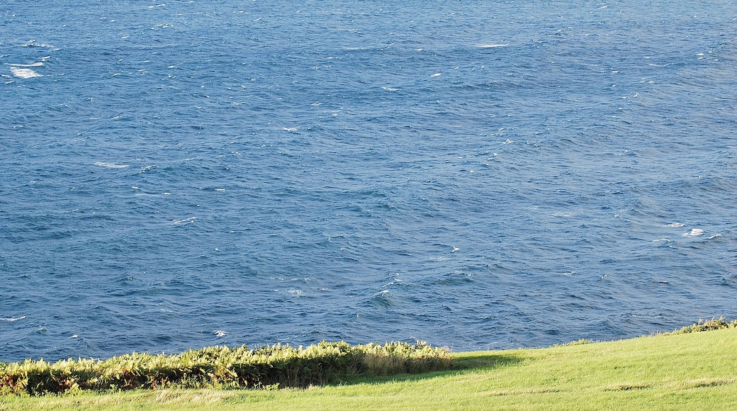 Muskiz, Biscay, Spain