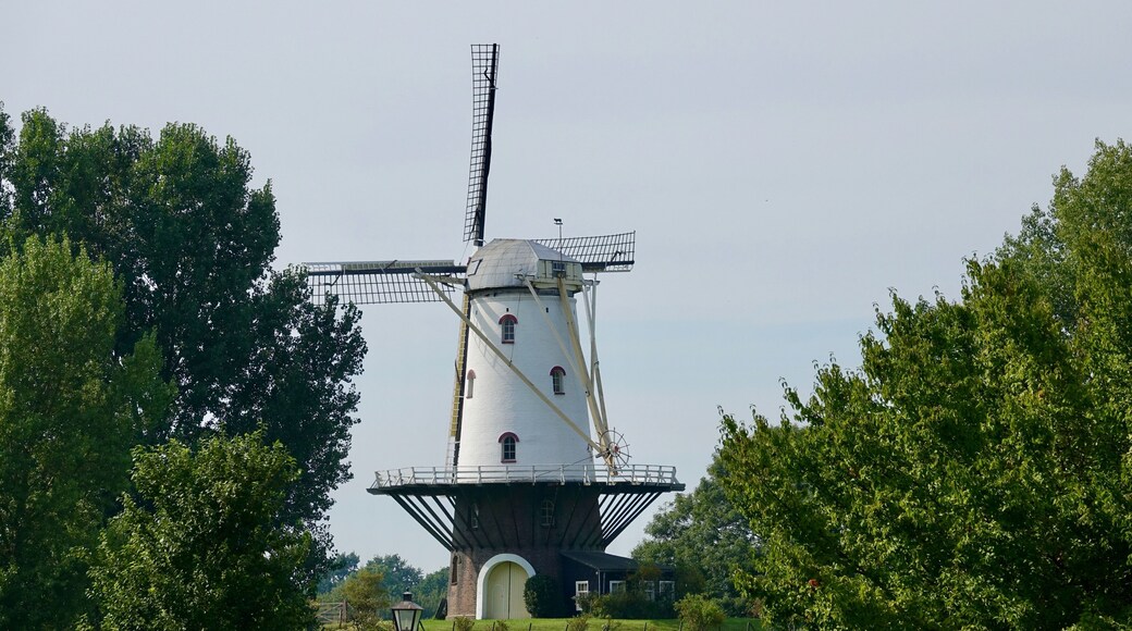 Holländische Windmühle in Zeeland