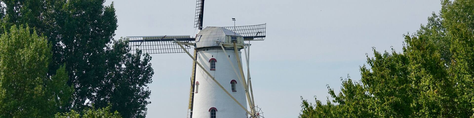 A traditional windmill with a white body and red accents, surrounded by lush greenery.