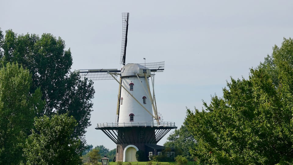A traditional windmill with a white body and red accents, surrounded by lush greenery.
