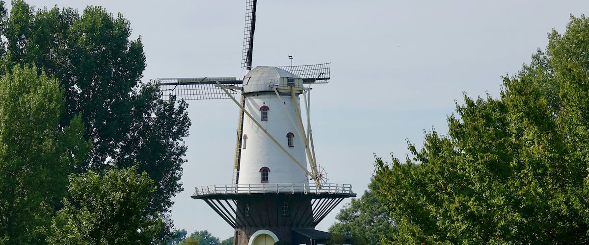 A traditional windmill with a white body and red accents, surrounded by lush greenery.