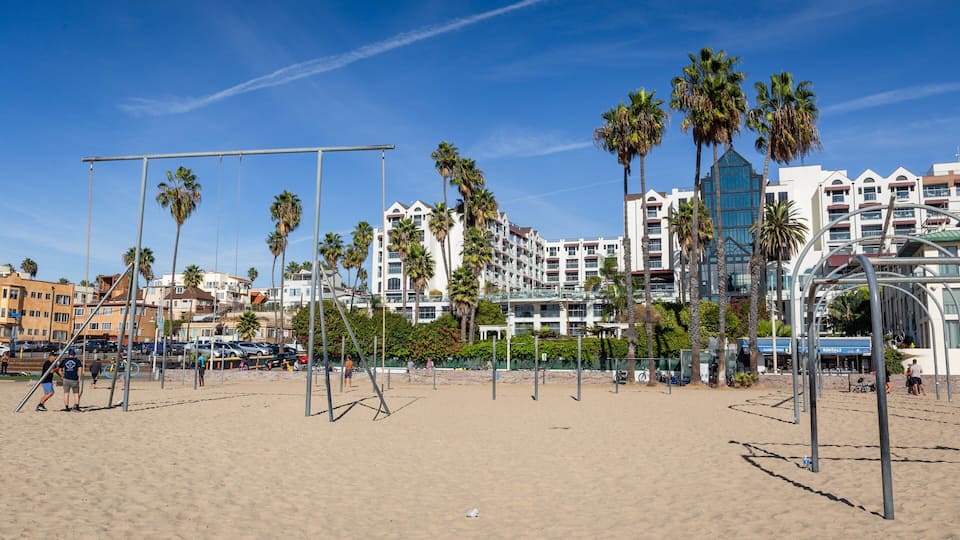 A beach with palm trees, a volleyball net, and a hotel in the background.