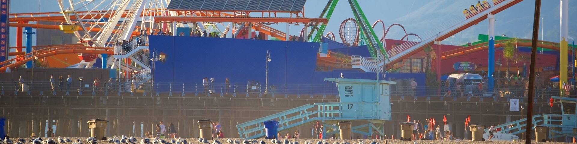 A large Ferris wheel, a roller coaster, and a kite in the sky at a theme park.