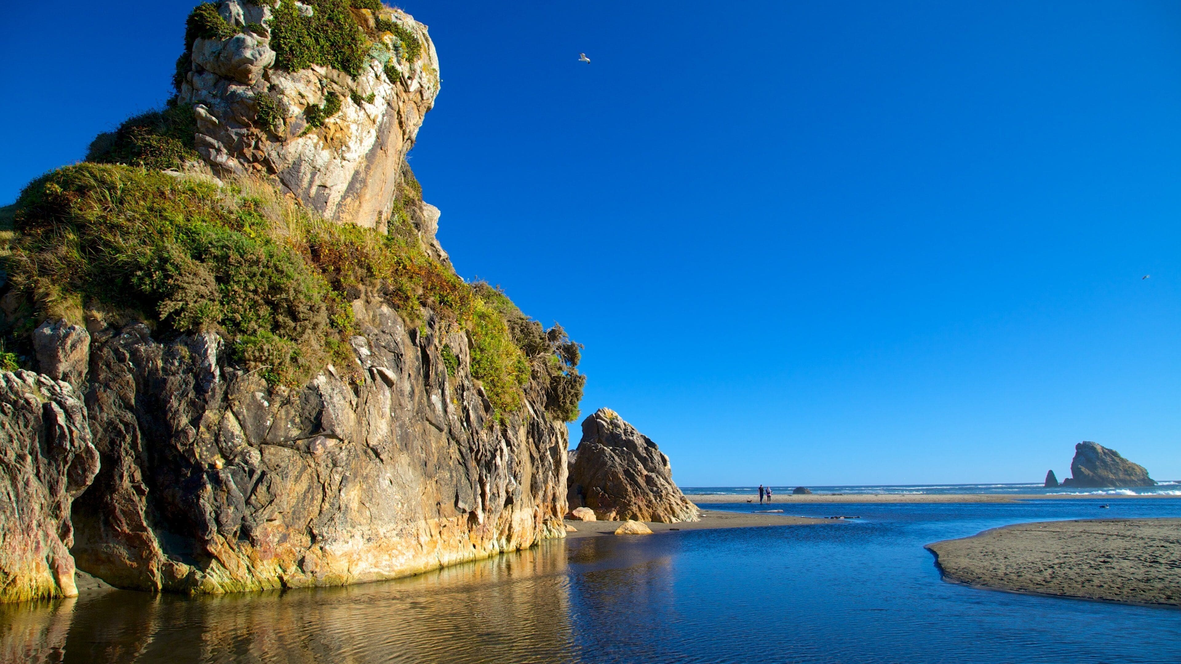 Harris Beach State Park featuring rocky coastline and a sandy beach