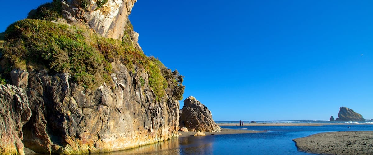 Harris Beach State Park mostrando uma praia de areia e litoral rochoso