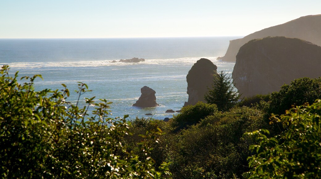 Harris Beach delstatspark fasiliteter samt stenete kystlinje