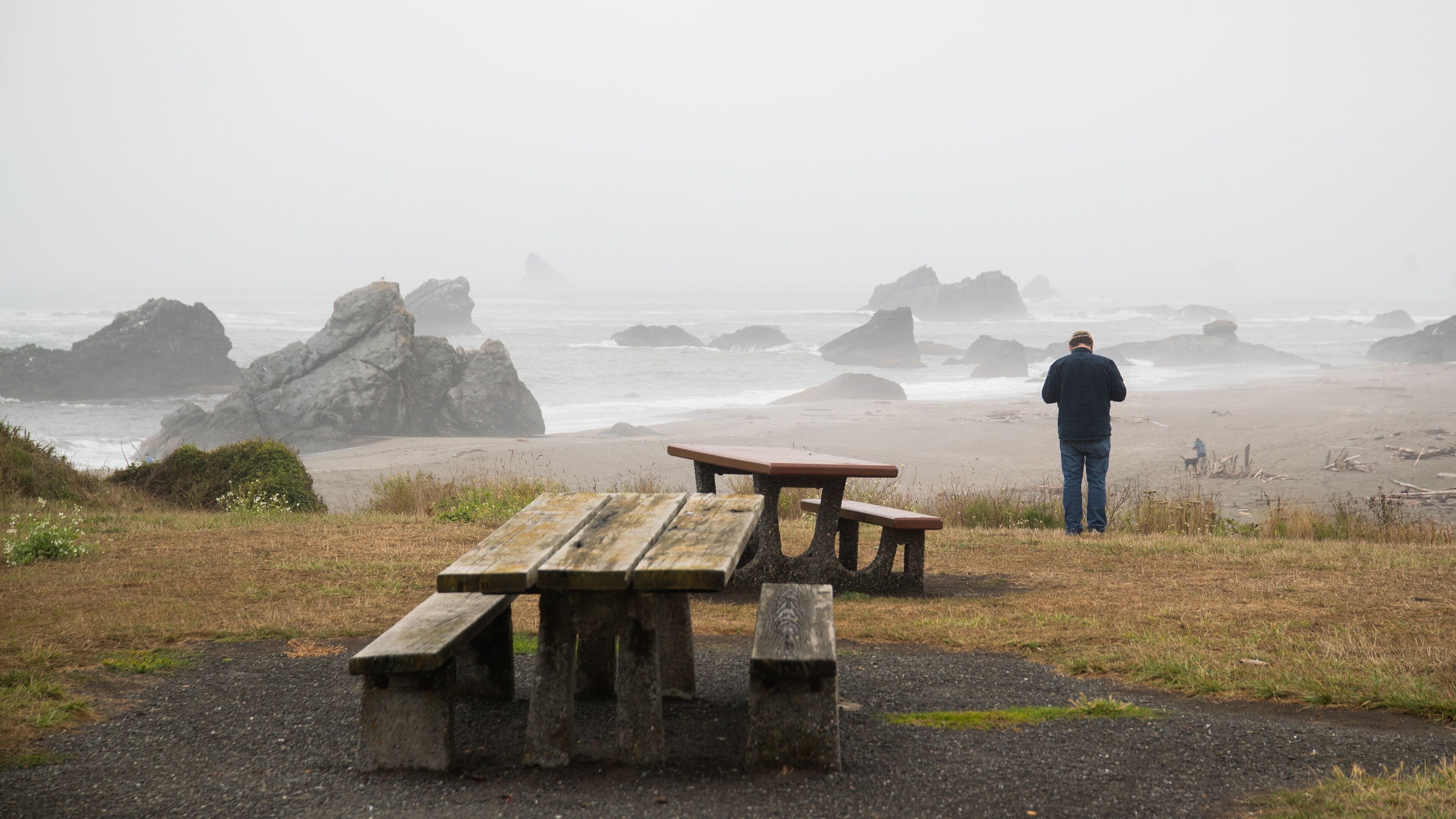 Harris Beach State Park which includes rugged coastline, general coastal views and mist or fog