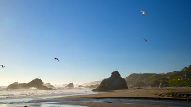 Parque estatal Harris Beach ofreciendo costa escarpada y una playa de arena