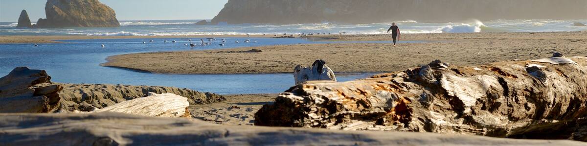 Harris Beach State Park