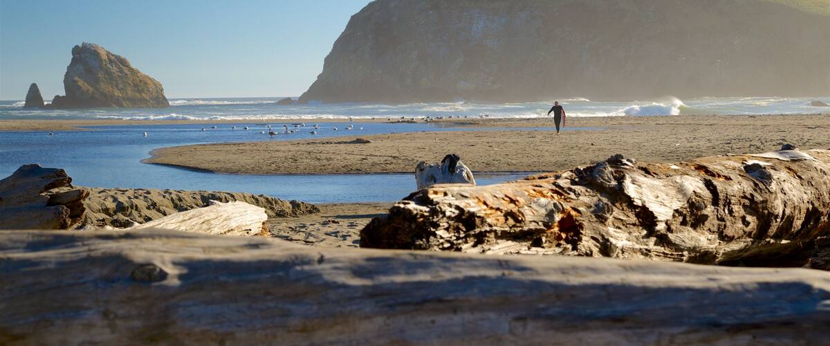 Harris Beach State Park johon kuuluu kallioinen rannikko, ranta ja maisemat
