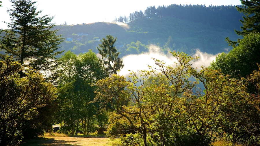 Azalea Park featuring forests