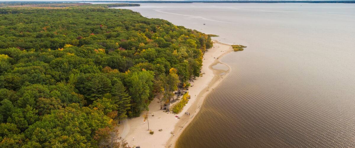 A coastal forest with a sandy beach and a calm sea.