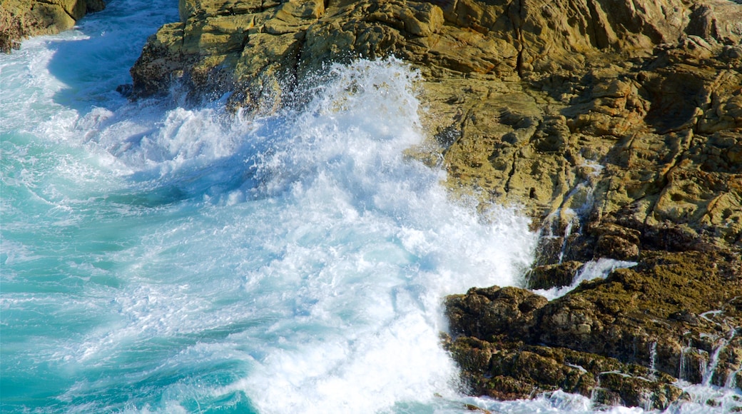 North Gorge Walk showing waves and rocky coastline