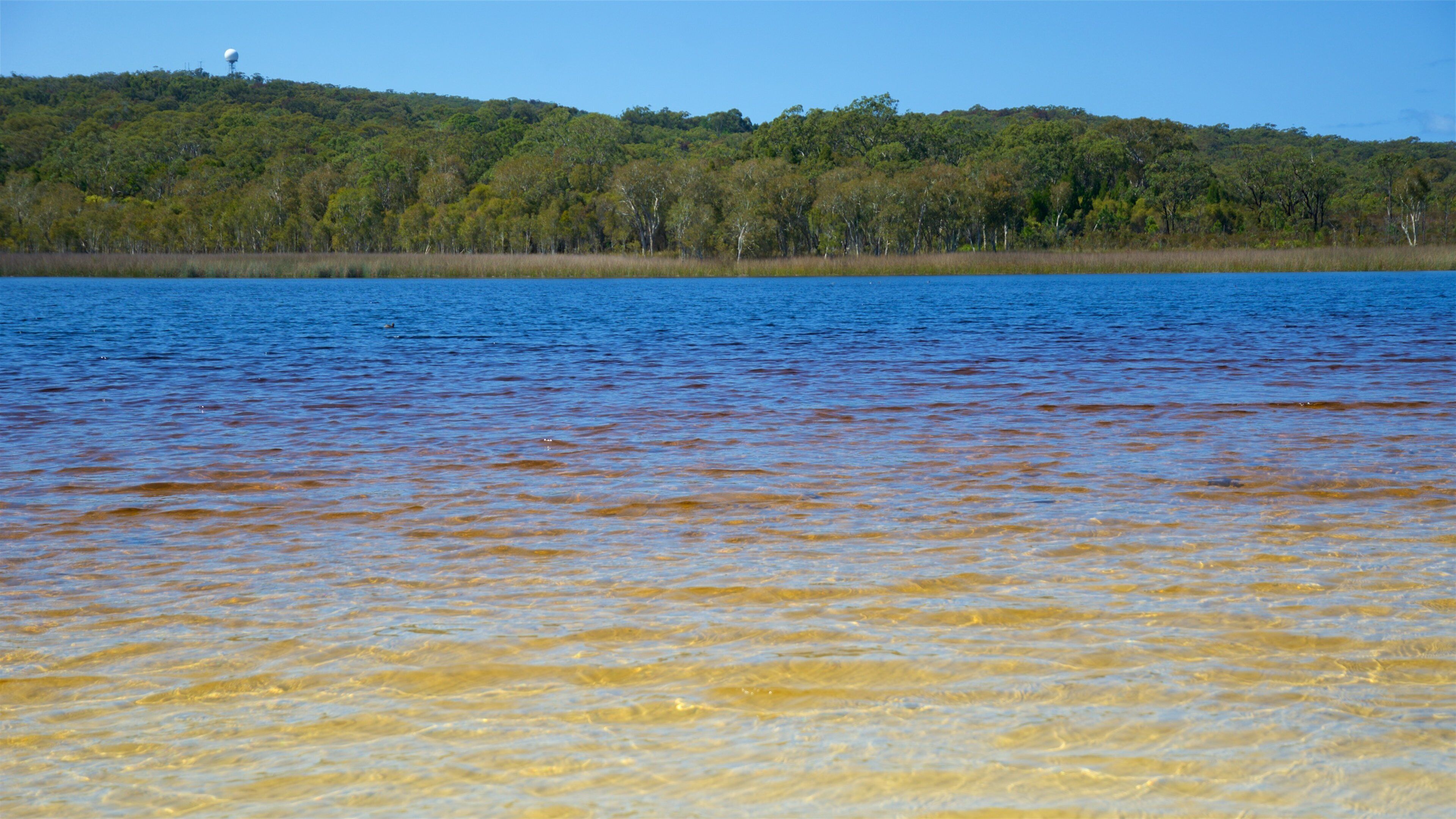 Brown Lake Conservation Area