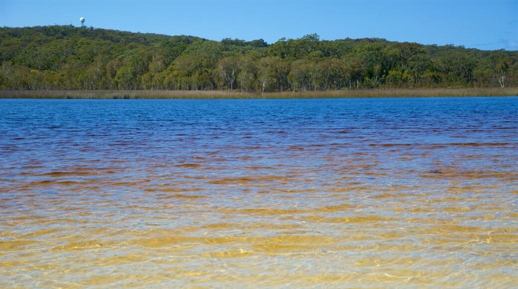 Brown Lake Conservation Area