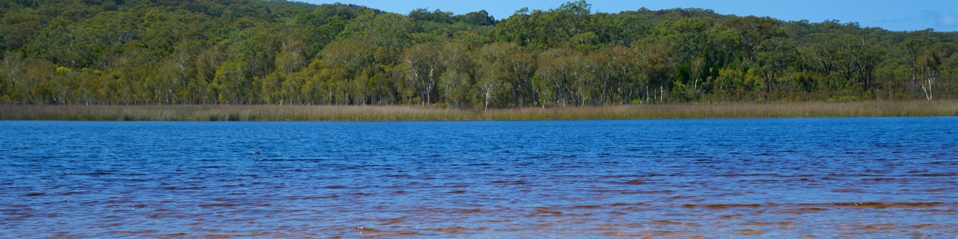 Brown Lake Conservation Area