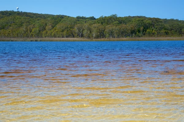 Brown Lake Conservation Area