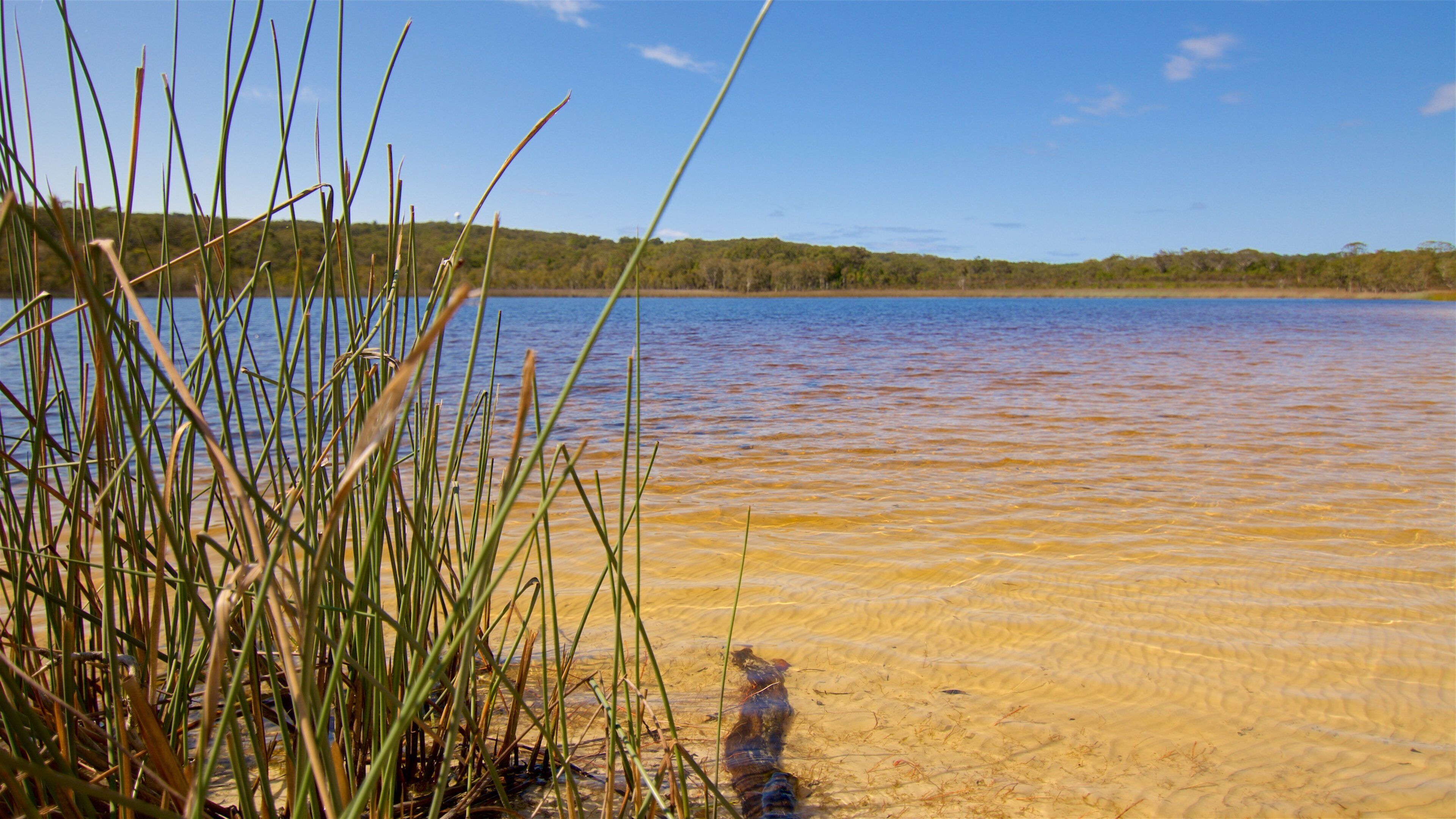 North Stradbroke Island das einen See oder Wasserstelle