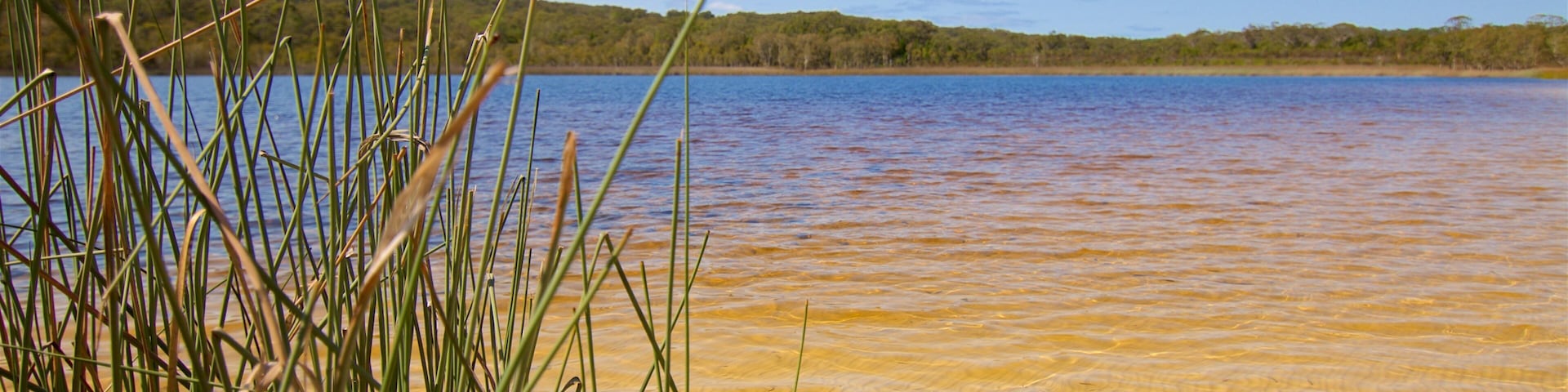 North Stradbroke Island featuring a lake or waterhole