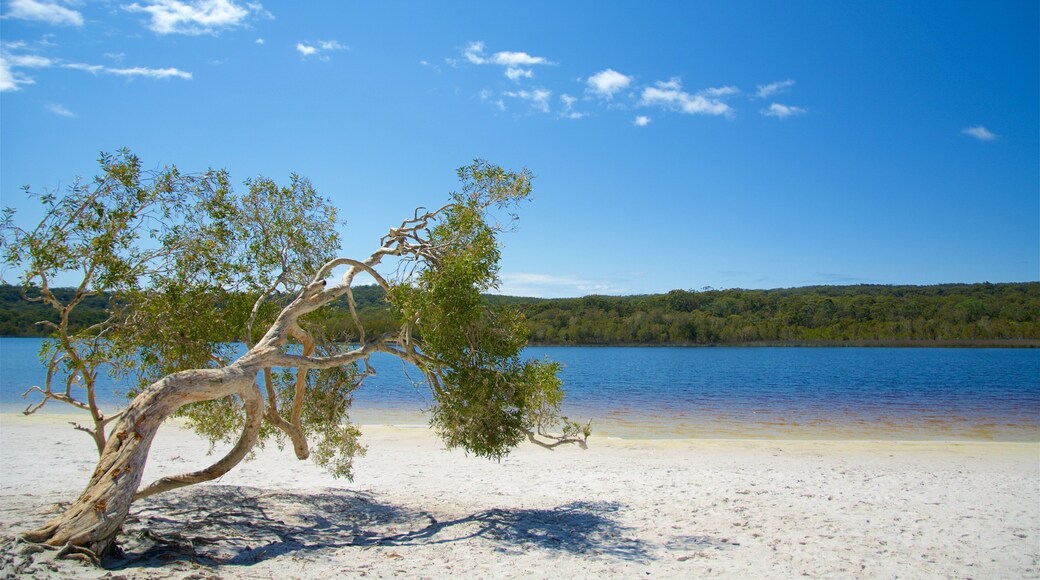Brown Lake Conservation Area which includes a lake or waterhole and a sandy beach