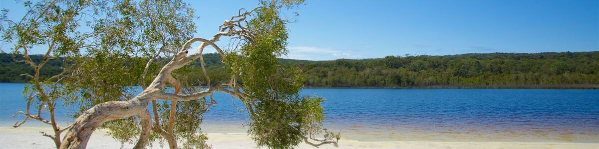 Brown Lake Conservation Area which includes a lake or waterhole and a sandy beach