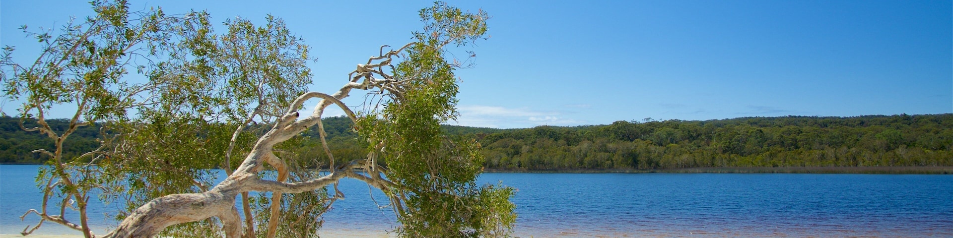 Brown Lake Conservation Area which includes a lake or waterhole and a sandy beach