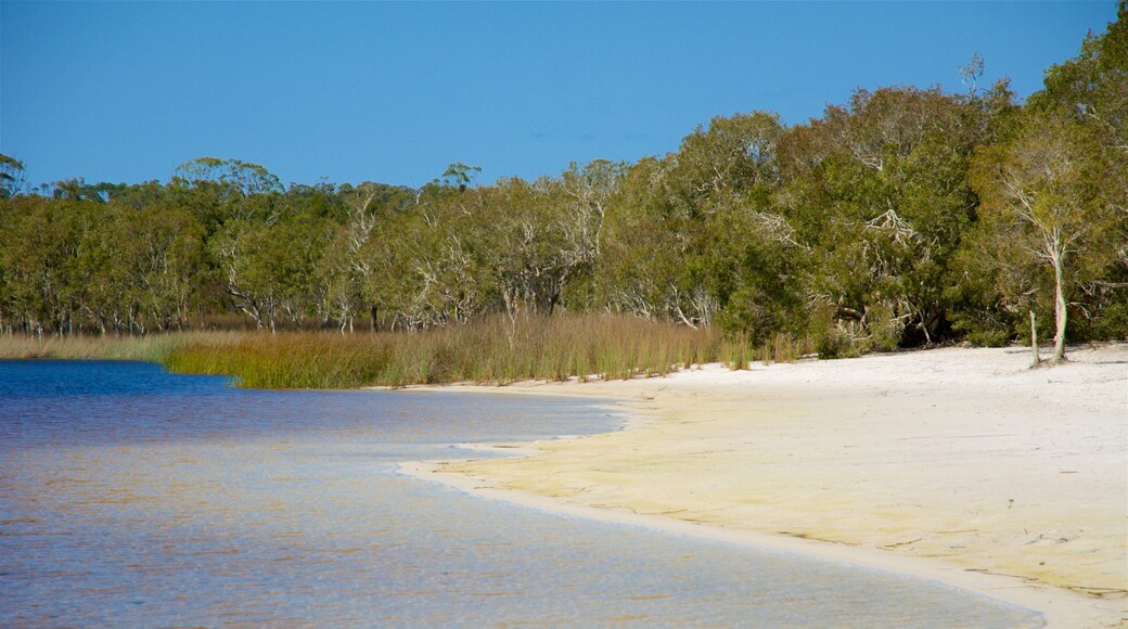 Brown Lake Conservation Area