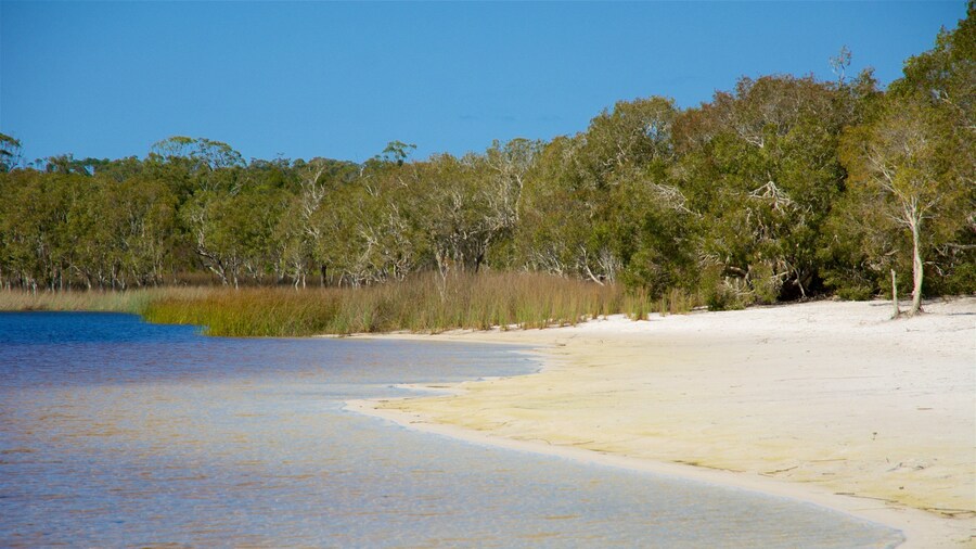Brown Lake Conservation Area