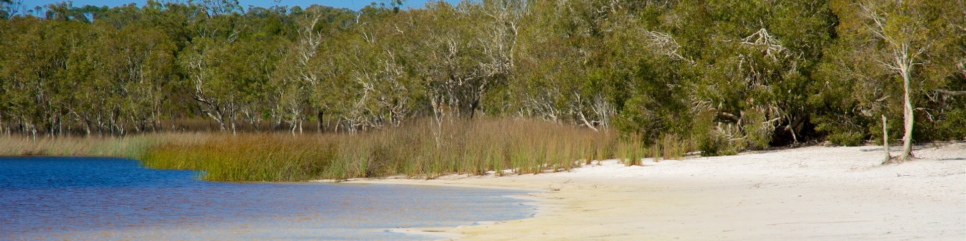 Brown Lake Conservation Area