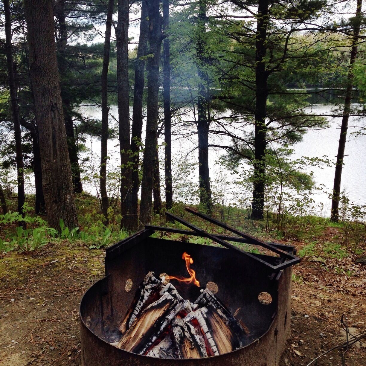 Life doesn't get any better than sitting by a fire eating breakfast. 

So about this park, it's smaller than other provincial parks and some sites have zero privacy. Avoid sites which run along the trans Canada highway because it's very noisy. It's worth paying the extra money for a premium site beside the water because the view is beautiful.

The park washrooms here are well maintained and clean which is awesome! 

The park has a few trails from easy to hard levels and has boat rentals right inside the park. 

The park itself sits on black lake but is minutes from the town if Sharbot Lake where the town is adjacent to Sharbot Lake and Black Lake. Very small and not a whole lot here.

The closest bigger town is in Perth which is 30 minutes away. They have a Canadian Tire, Shoppers Drug Mart, Dairy Queen, Wendy's and a good micro brewery called Perth Brewing Co. 

We will be doing more exploring today so more info will follow.

This park has an alcohol ban on long weekends and excessive noise is not allowed at any time of the day. Which is great if you are looking for a quiet place to retreat.

But... Lots of Mosquitos so bring big spray! 