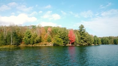Now that the summer hordes have left, you have this idyllic hidden gem of a lake to yourself to enjoy a #fall #picnic
#GreatOutdoors #Ontario #Canada #travel #explore #autumn #fall #colourful #nature