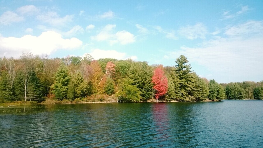 Now that the summer hordes have left, you have this idyllic hidden gem of a lake to yourself to enjoy a #fall #picnic 
#GreatOutdoors #Ontario #Canada #travel #explore #autumn #fall #colourful #nature