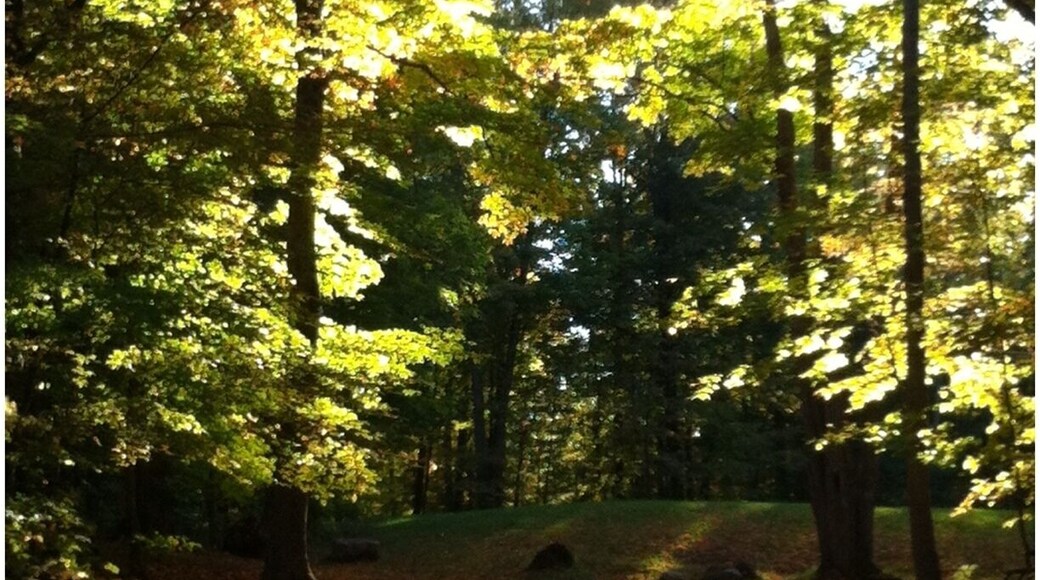 Camping sites are closed for the season allowing the autumn leaves to settle peacefully.