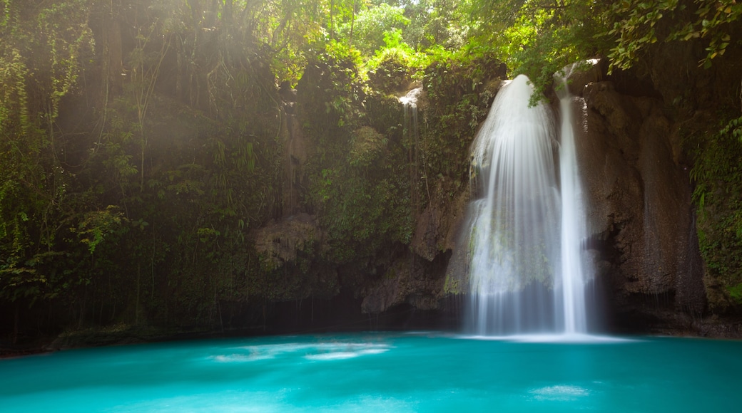 The Kawasan Falls, Cebu, Philippines