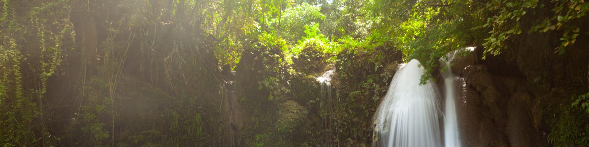 The Kawasan Falls, Cebu, Philippines
