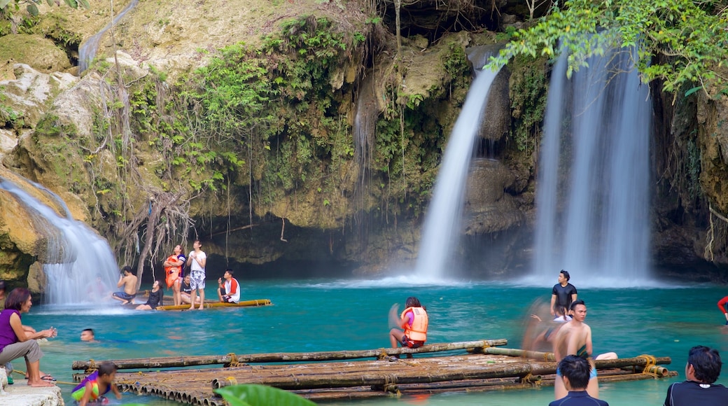 Kawasan Falls featuring swimming, a river or creek and a waterfall