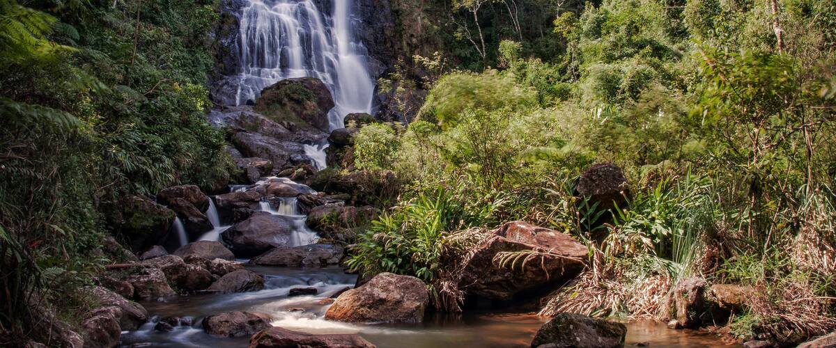 A waterfall cascading over rocks in a lush forest.