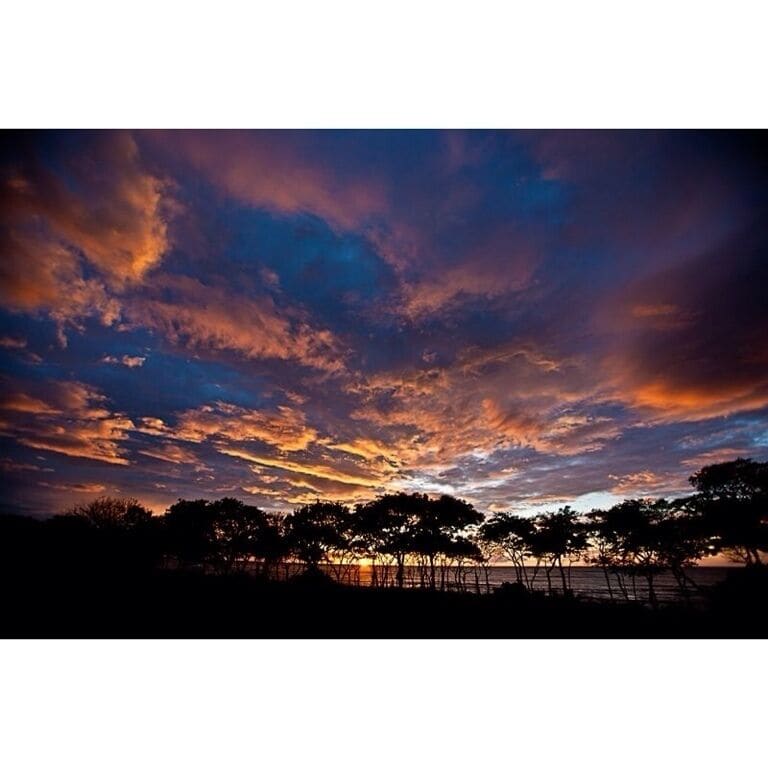 A sunset over a coastal landscape with silhouetted trees and a distant shoreline.