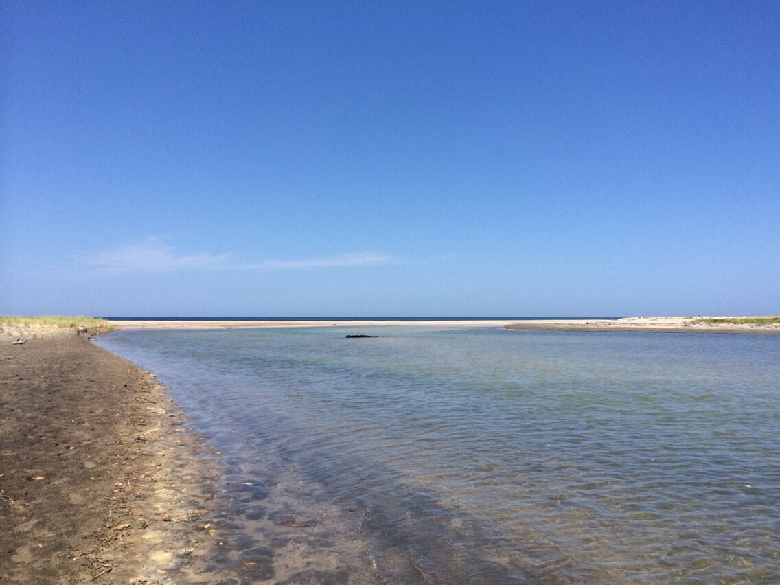 Mangrove, peaceful place crystal clear lagoon on low tide, perfect #surf spot in front. 