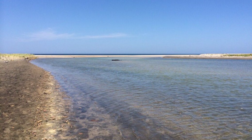 Mangrove, peaceful place crystal clear lagoon on low tide, perfect #surf spot in front.