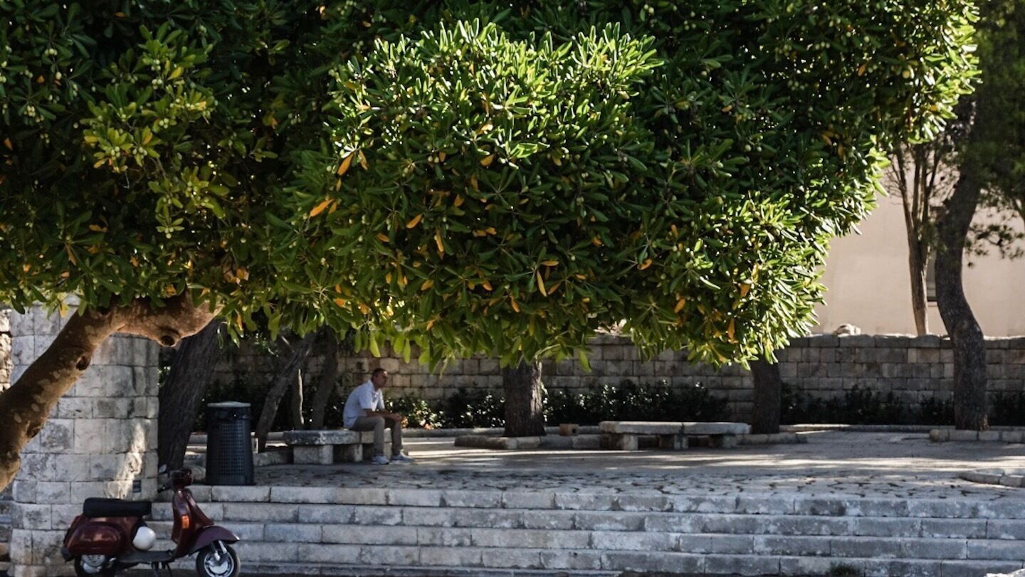 Next stop Albania or Africa?!