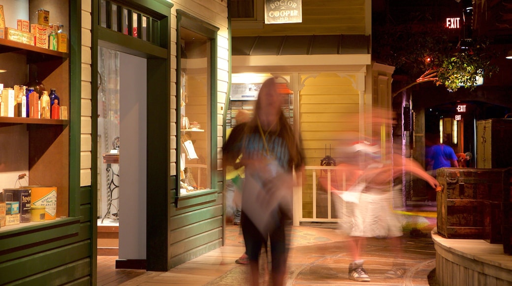 西弗吉尼亞州立博物館