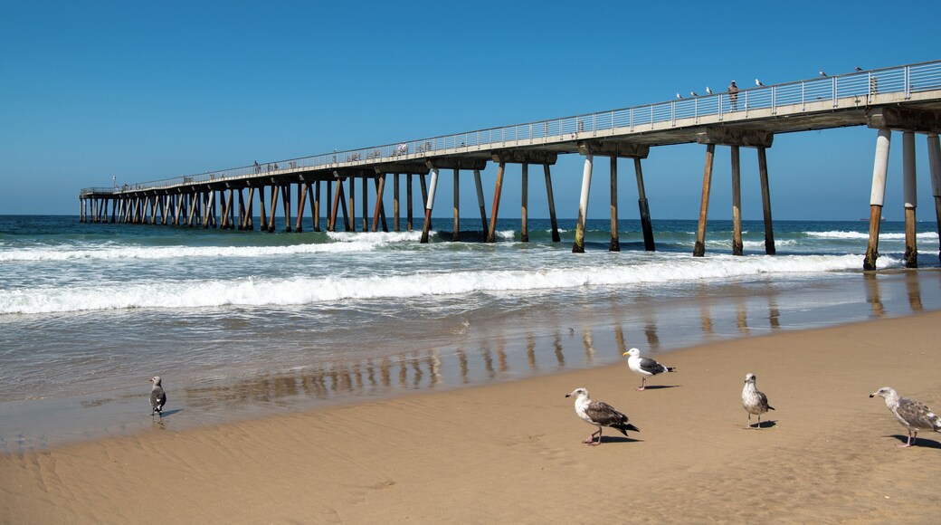 허모사 비치 피어