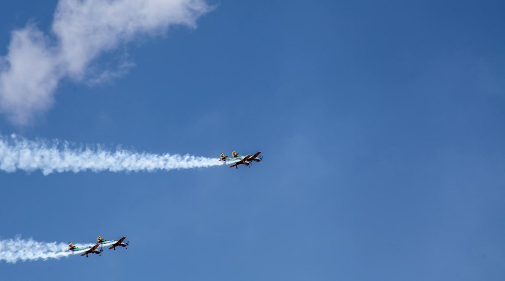 Brasilia, October 29, 2019: FAB, Brazilian Air Force, Smoke Squadron, in the sky of the Brazilian capital, a stunt show and commemorative maneuvers of Brazil Independence Day - September 7