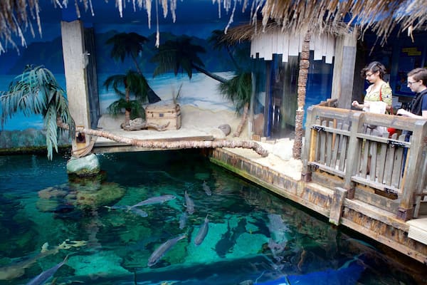 Oceanarium welches beinhaltet Meeresbewohner sowie Paar