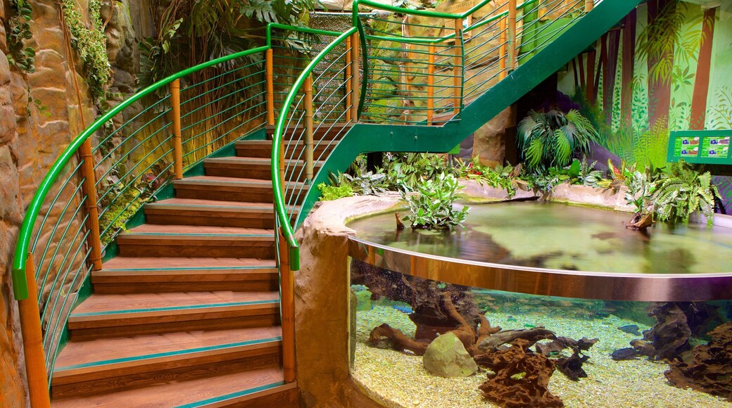 Oceanarium ofreciendo vida marina