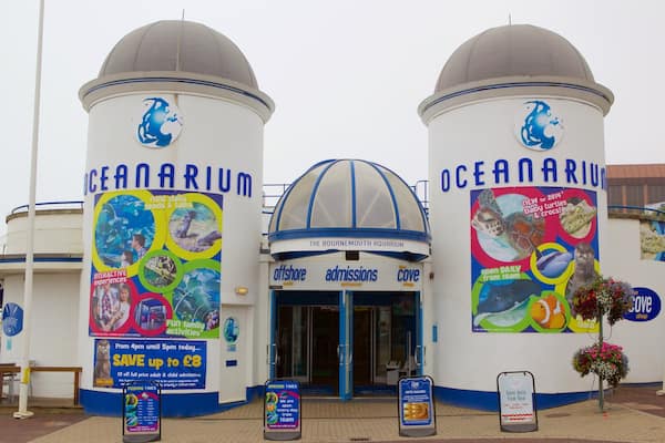 A entrada do Oceanário, com duas grandes cúpulas e cartazes coloridos anunciando experiências interativas e atividades para a família.